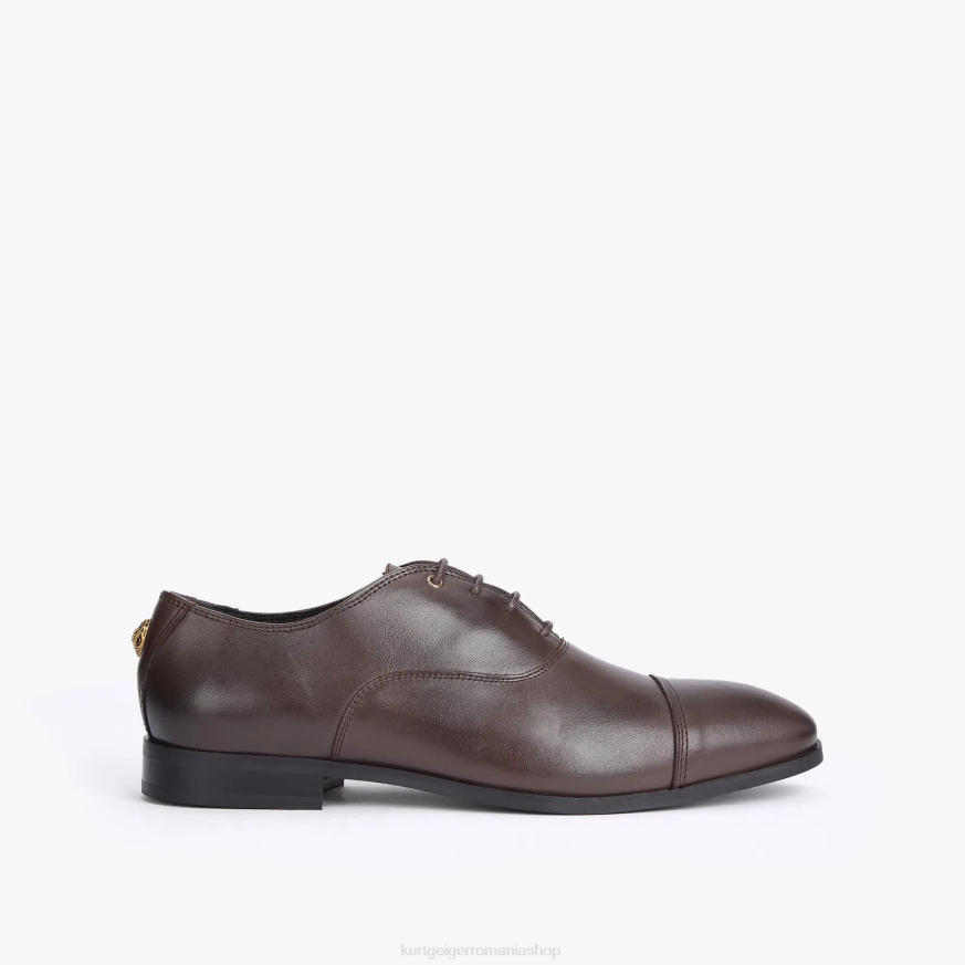 bărbați maro Kurt Geiger Londra Harris Oxford N02B647 | încălțăminte