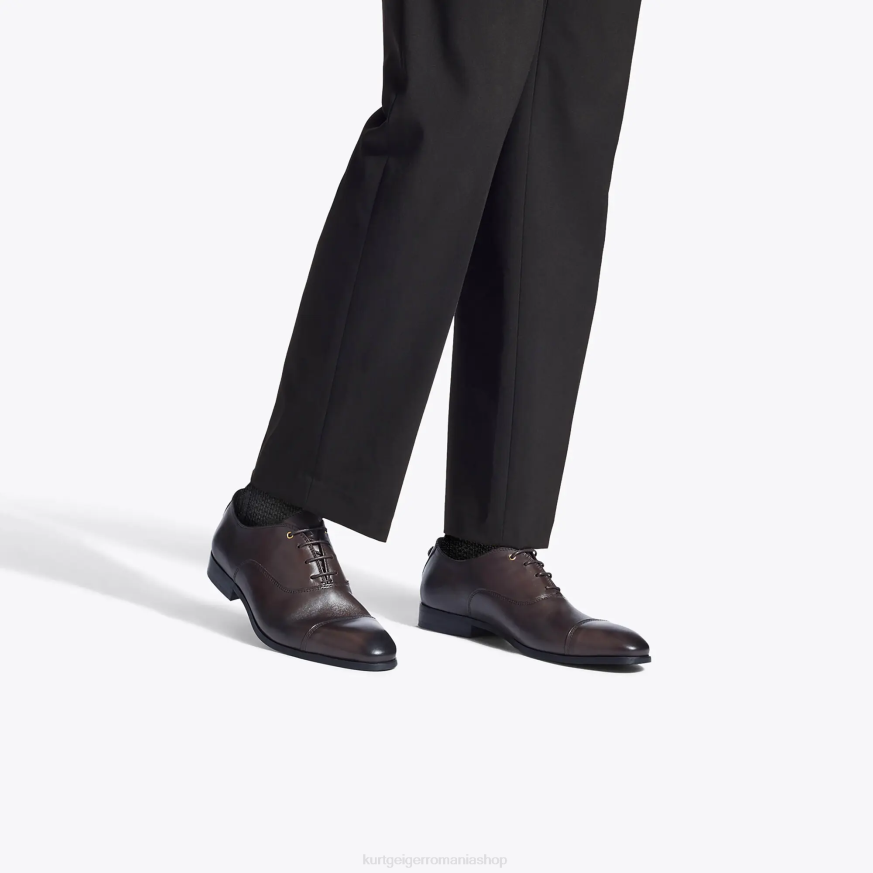 bărbați maro Kurt Geiger Londra Harris Oxford N02B647 | încălțăminte