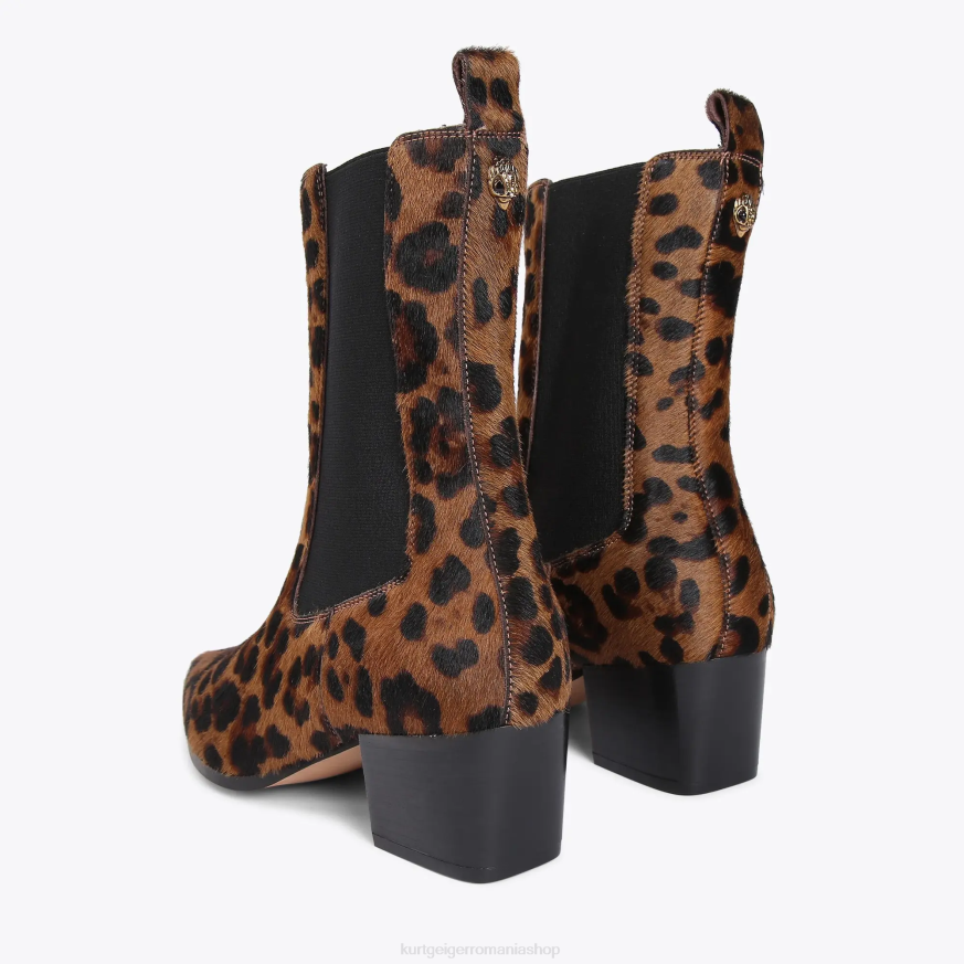 femei maro mijlociu Kurt Geiger london star chelsea N02B663 | încălțăminte