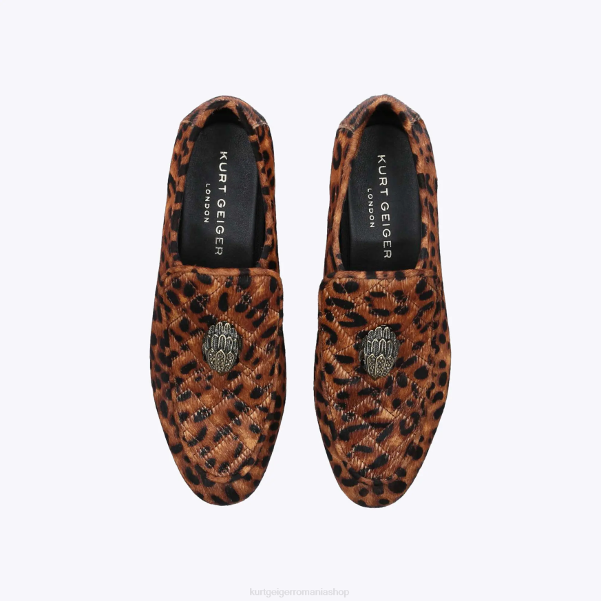 femei maro mijlociu Kurt Geiger loafer london holly eagle N02B382 | încălțăminte